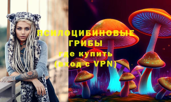 таблы Богородицк