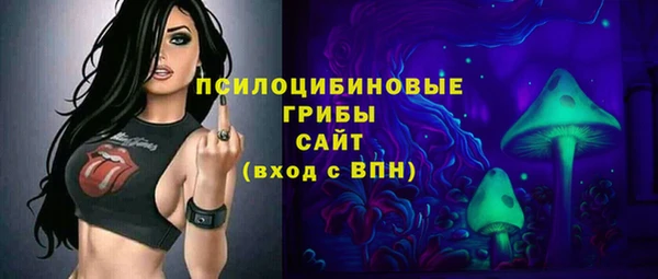 гидропоника Белоозёрский