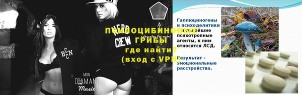 таблы Богородицк