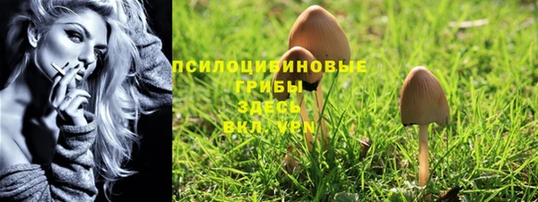 spice Белокуриха